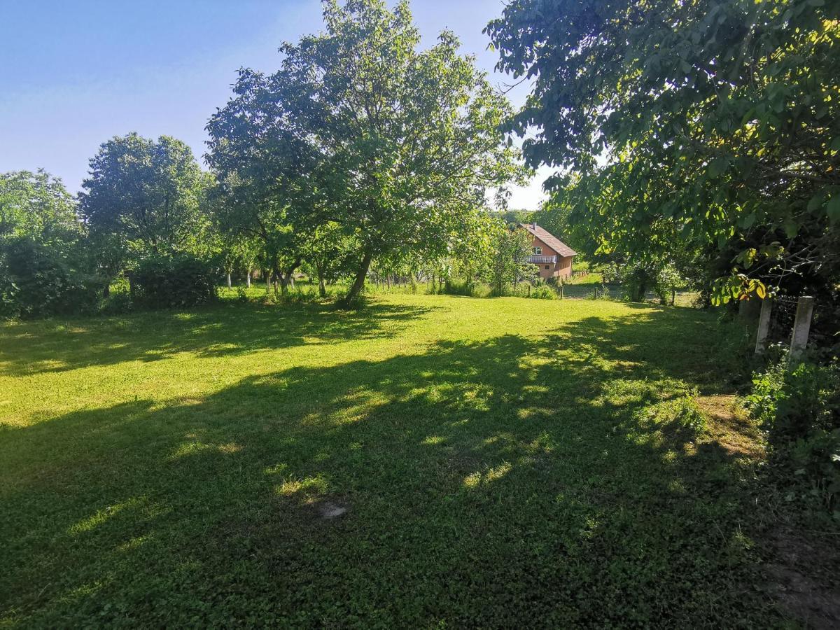 Apartmani La Grande Motte Vrdnik Bagian luar foto