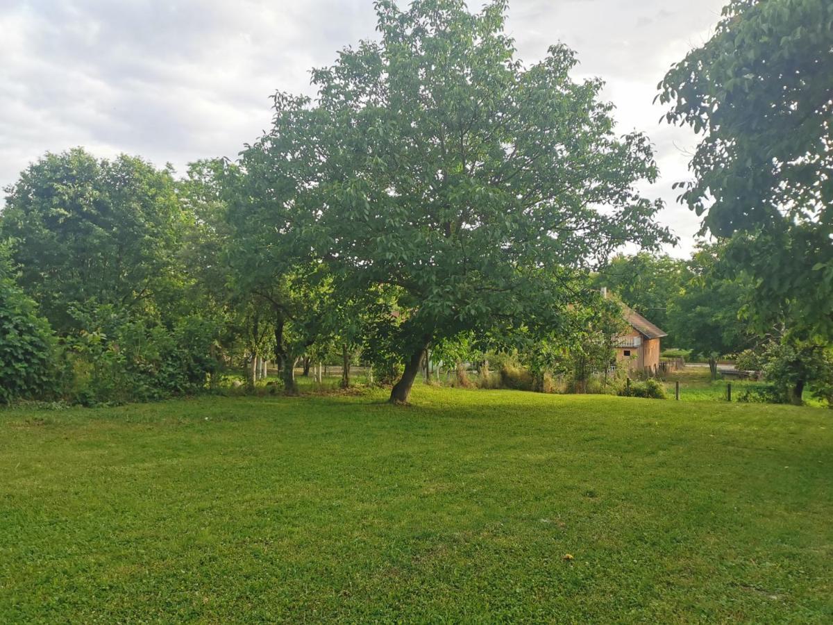 Apartmani La Grande Motte Vrdnik Bagian luar foto