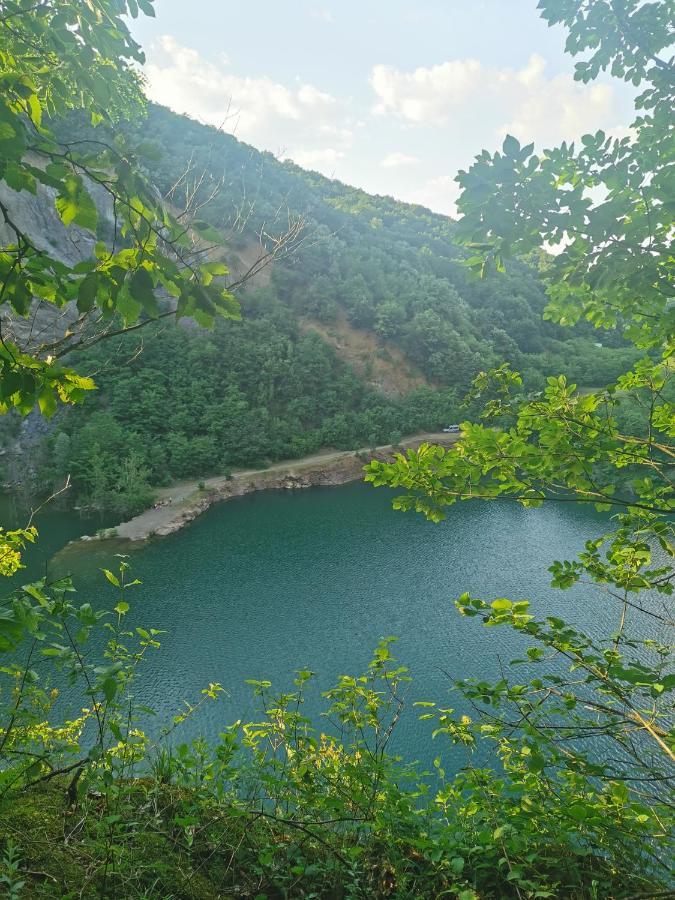 Apartmani La Grande Motte Vrdnik Bagian luar foto